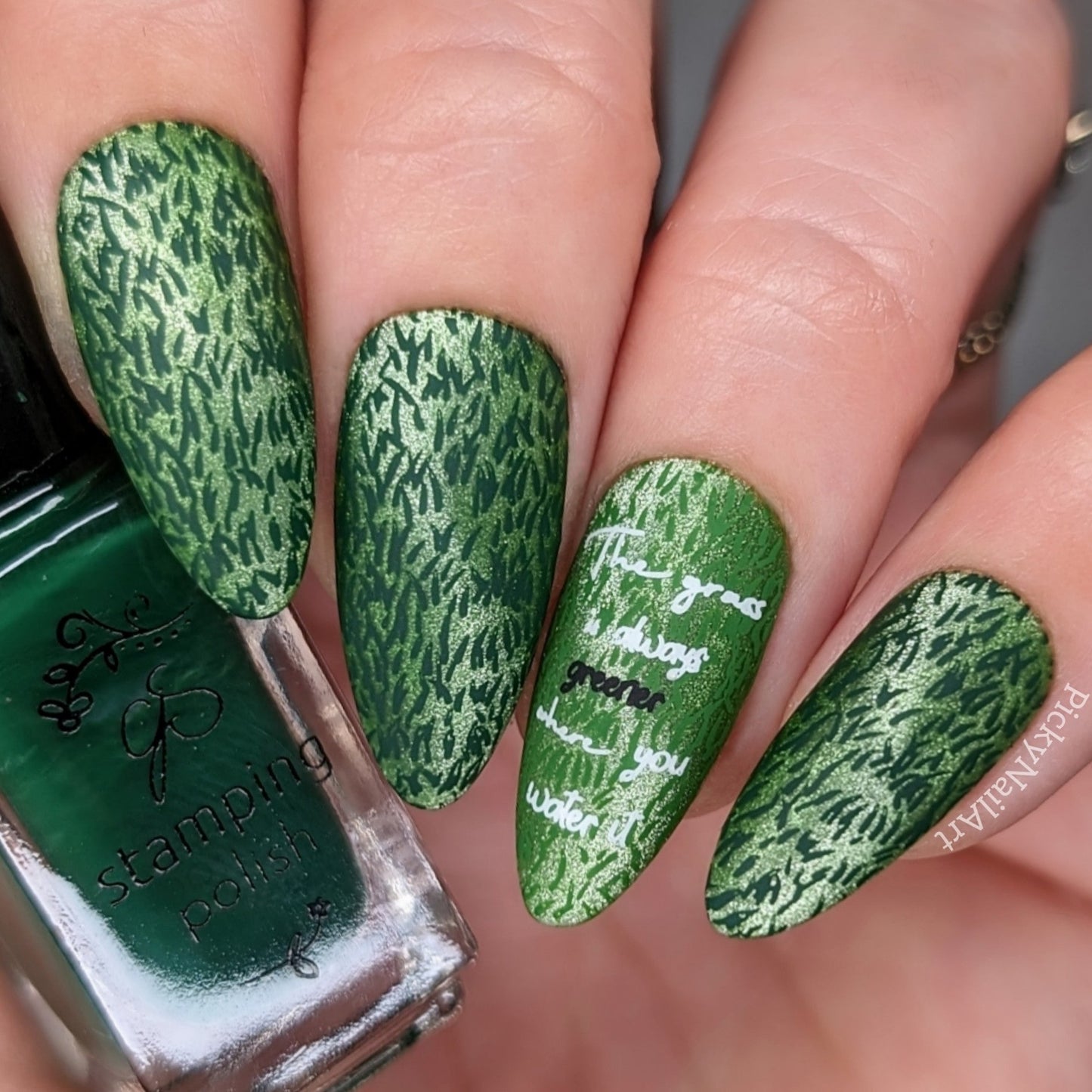 Greener Grass (CjS-345) Steel Nail Art Layered Stamping Plate