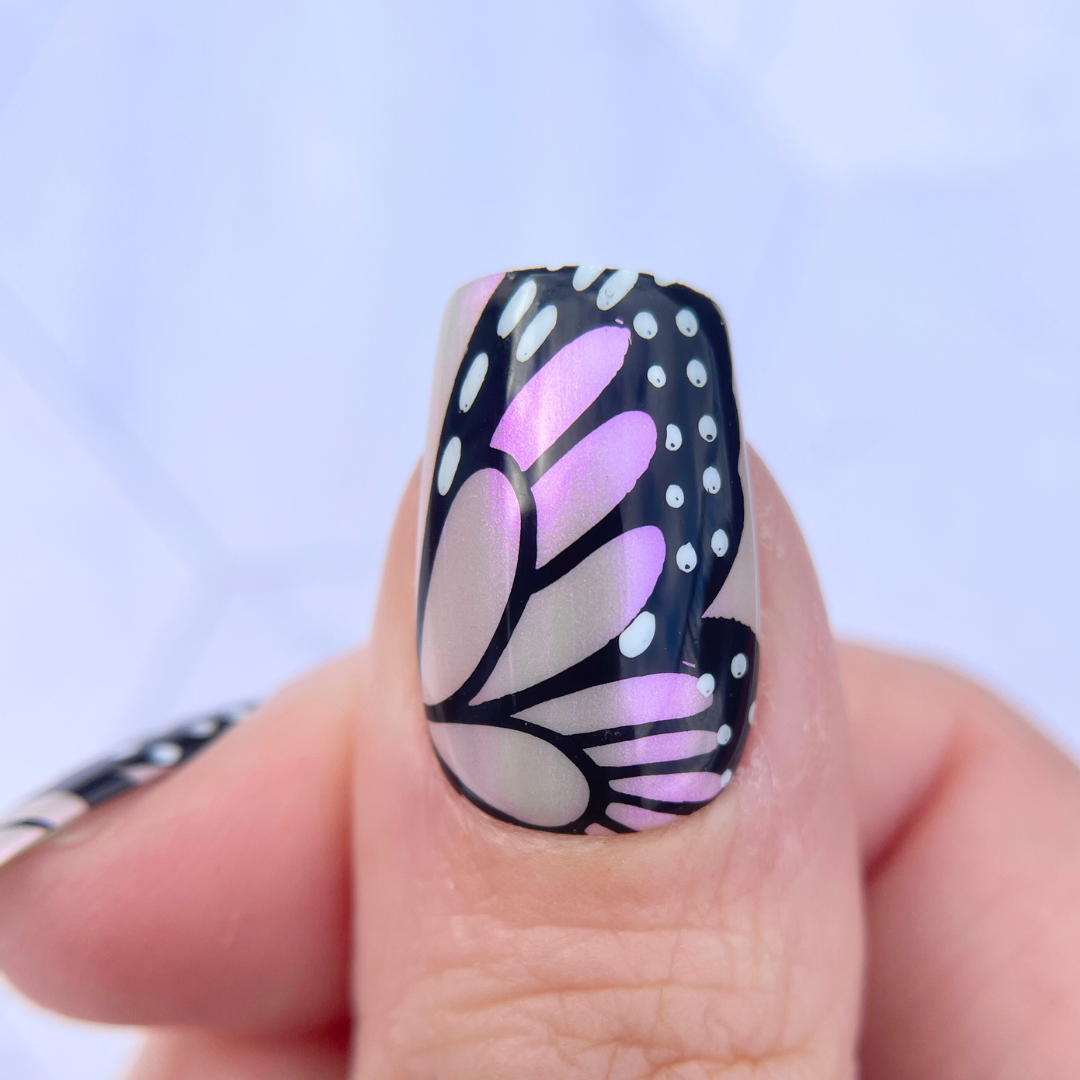 Wing It - Butterfly(CjS-348) Steel Nail Art Layered Stamping Plate