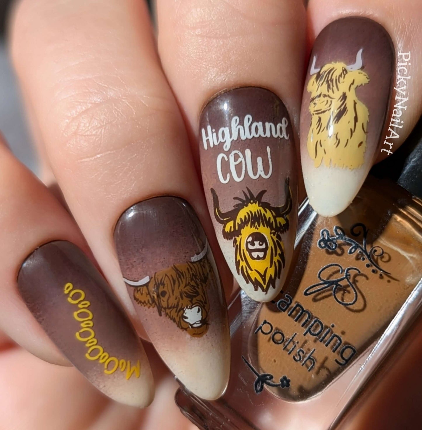 Highland Cow (CjS-362) Steel Nail Art Layered Stamping Plate