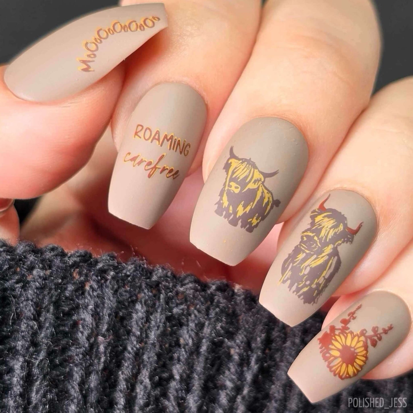 Highland Cow (CjS-362) Steel Nail Art Layered Stamping Plate