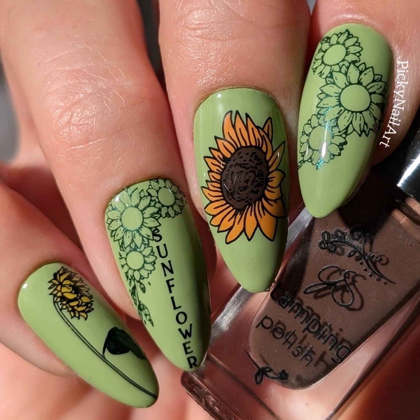 Glow like a Sunflower (CjS-370) Steel Nail Art Layered Stamping Plate