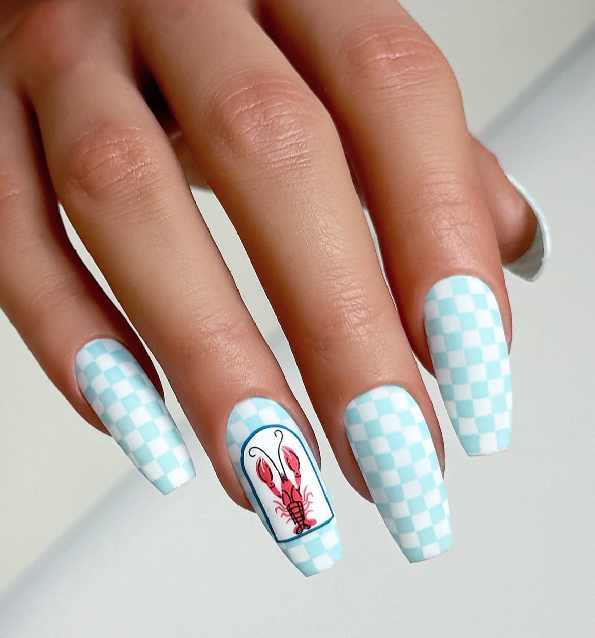 Catch Me by the Sea (CjS-380) Steel Nail Art Layered Stamping Plate
