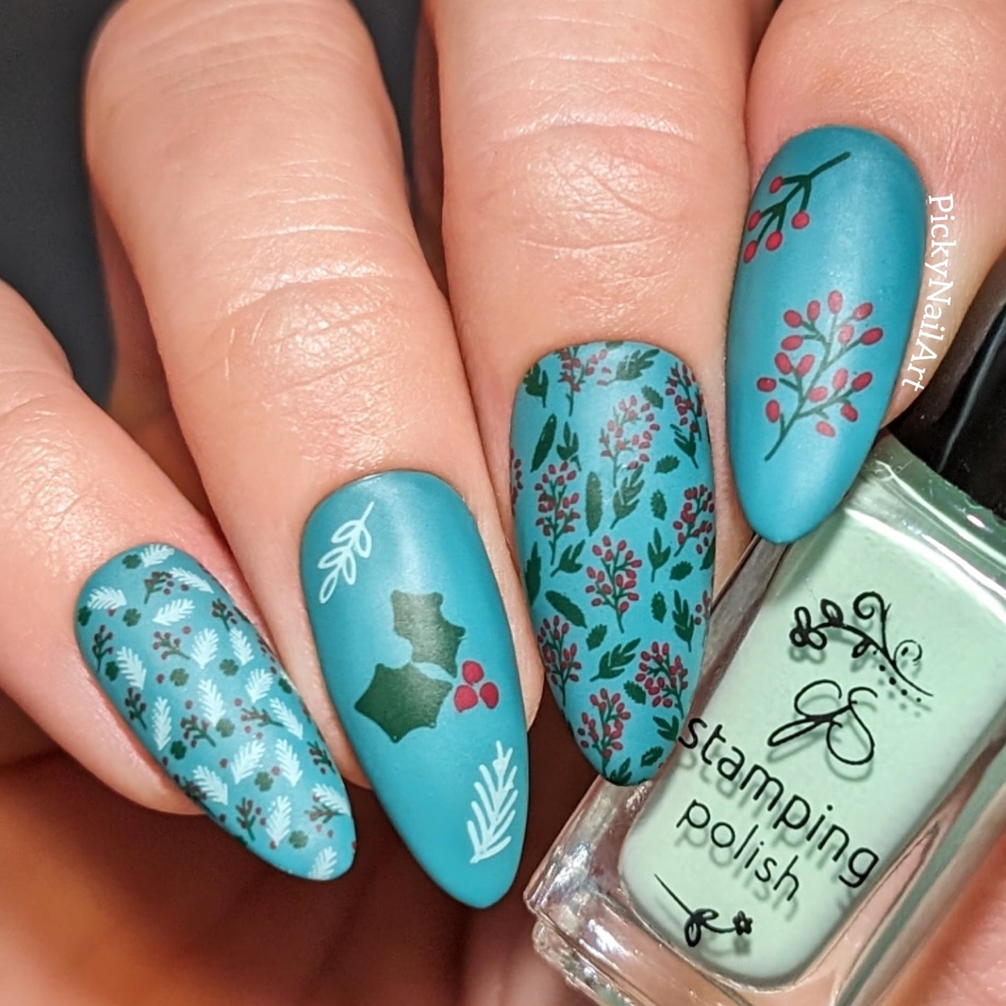 Pretty Paper - Festive (CjSC-78) Steel Nail Art Layered Stamping Plate
