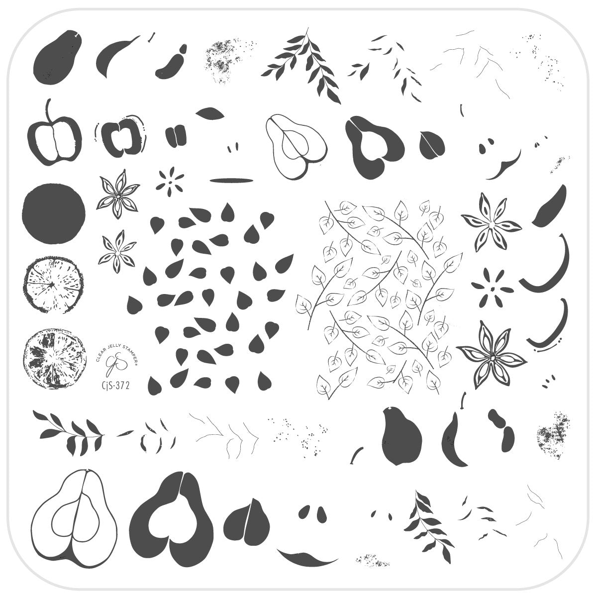 Autumn Orchard (CjS-372) Steel Nail Art Layered Stamping Plate