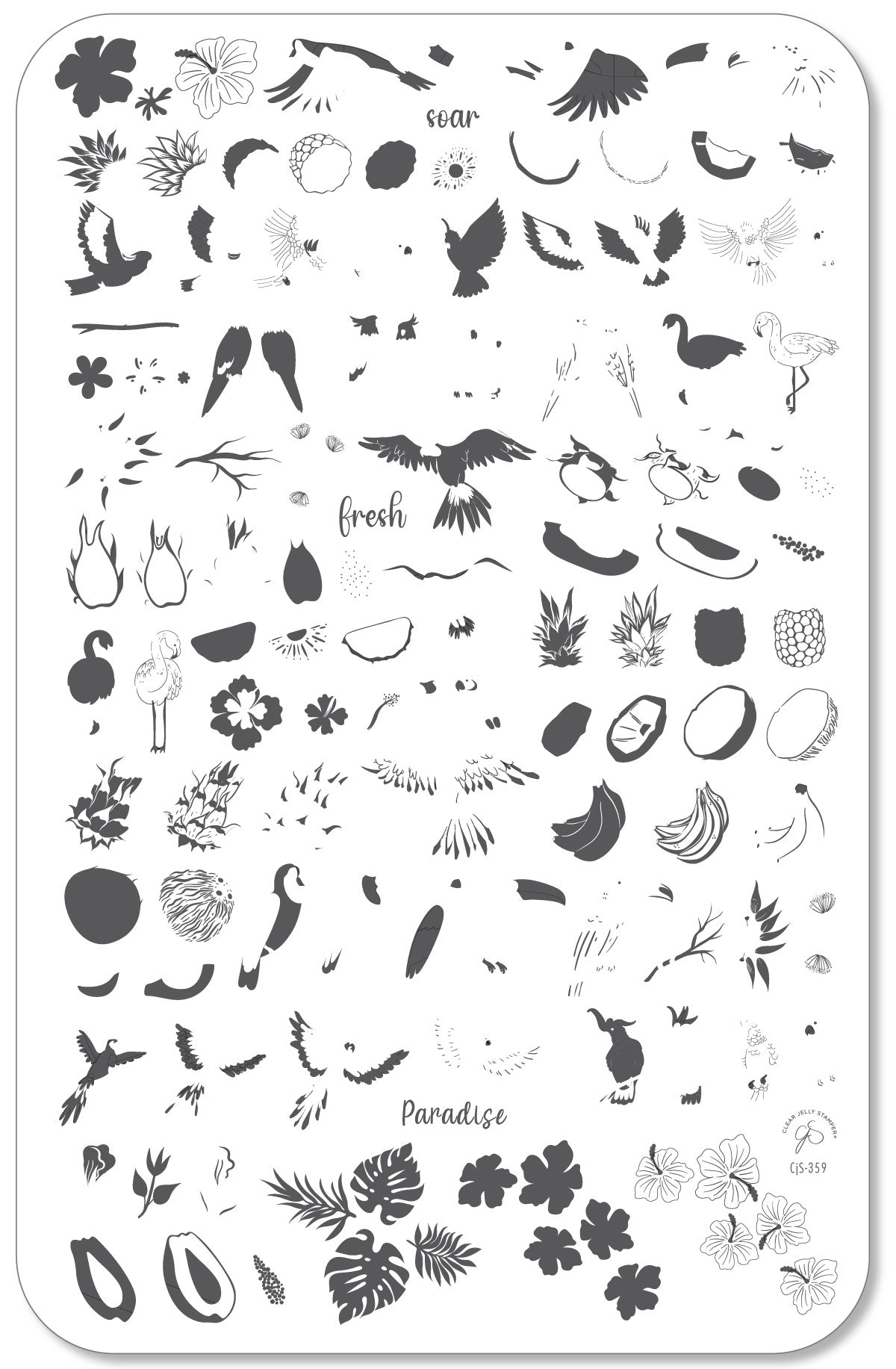 Tropical Paradise (CjS-359) Steel Nail Art Layered Stamping Plate