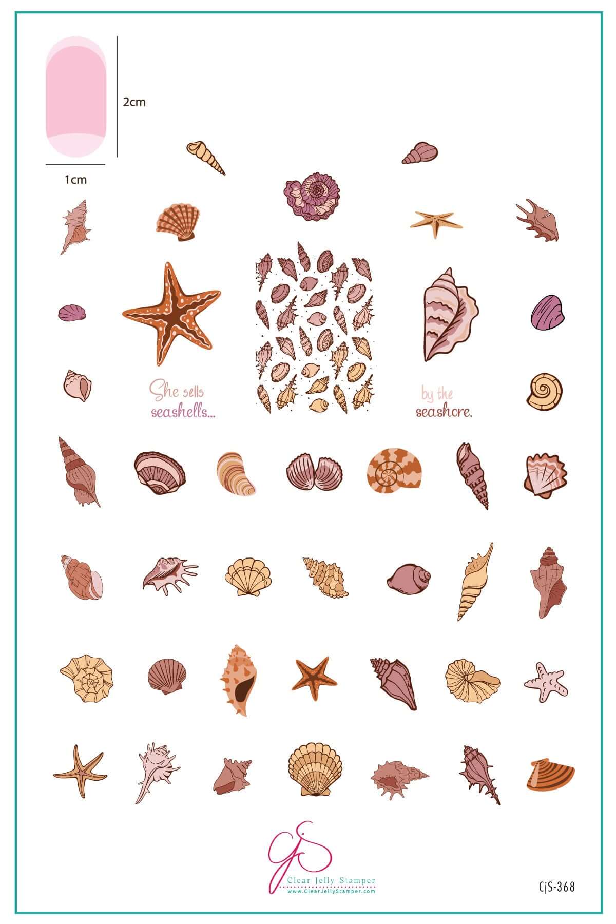 She Sells Seashells (CjS-368) Steel Nail Art Layered Stamping Plate