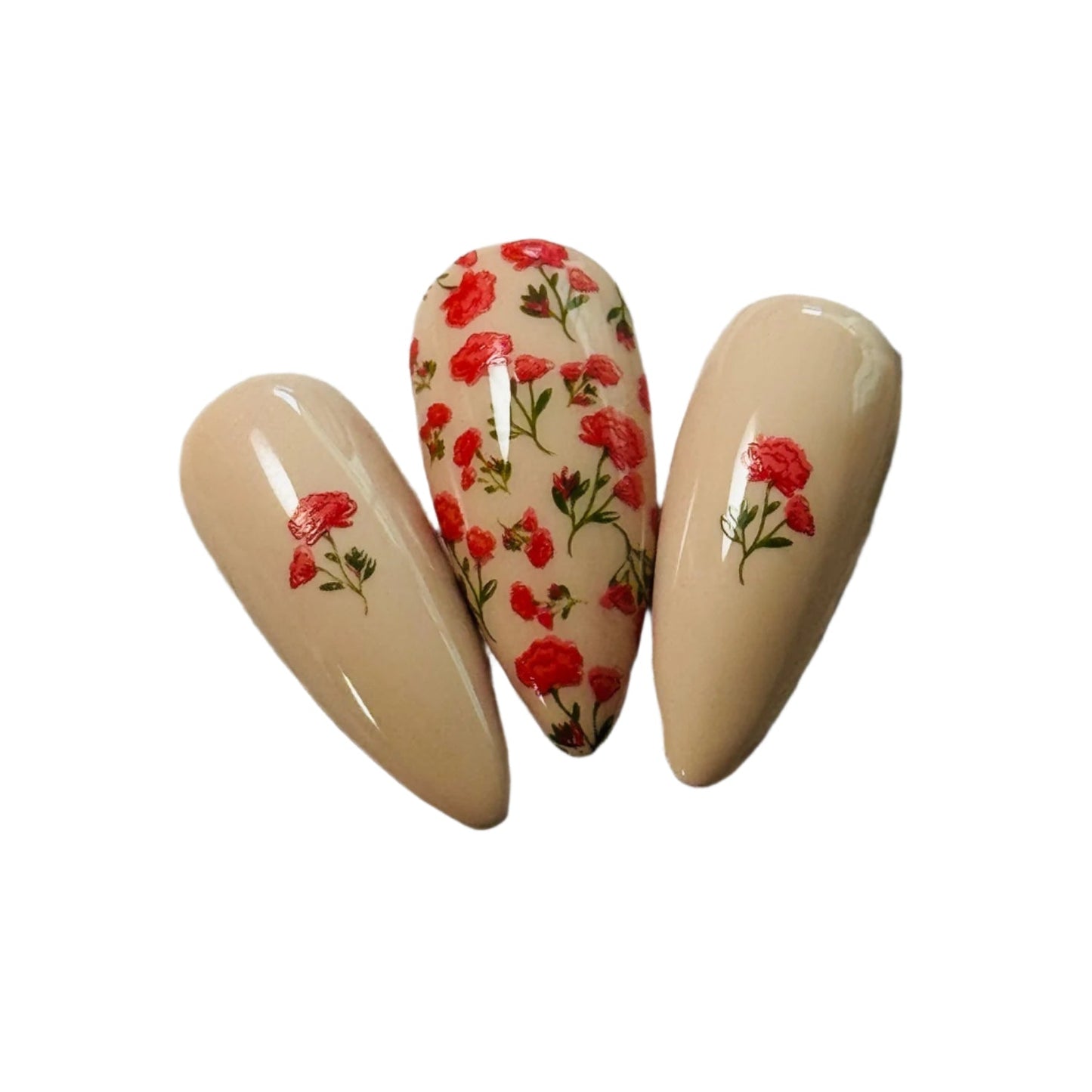 Dainty Doodles (CjS-386) Steel Nail Art Layered Stamping Plate