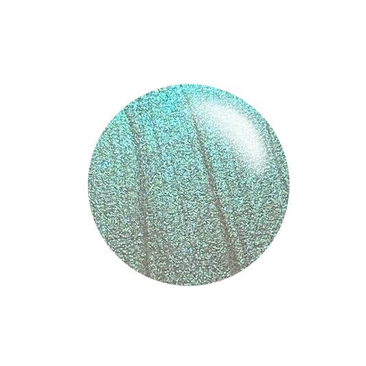 #PT04 - Prismatic Tint - Magnetic Moss - Nail Stamping Color (5 Free Formula)