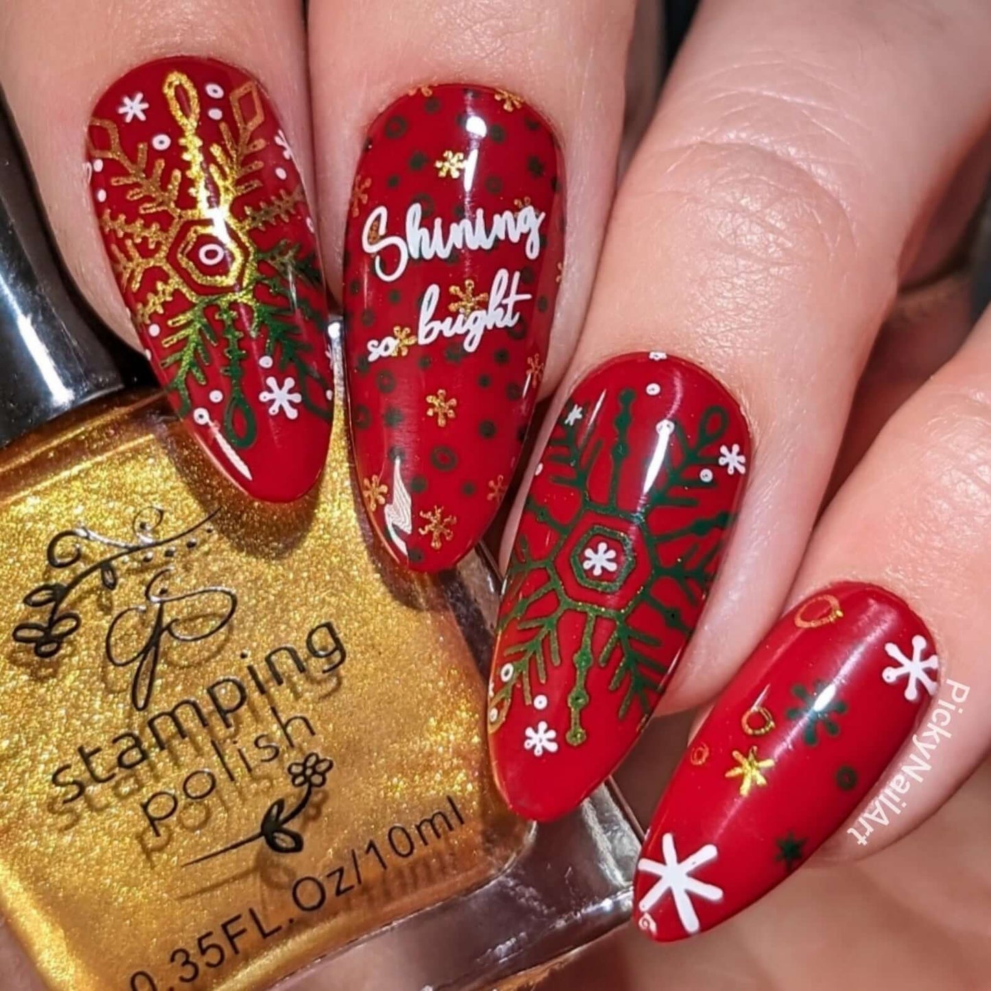 Frosty Flurries (CjS-326) Steel Nail Art Layered Stamping Plate