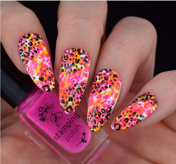Let's Get Wild! (CJS-340) Steel Nail Art Layered Stamping Plate