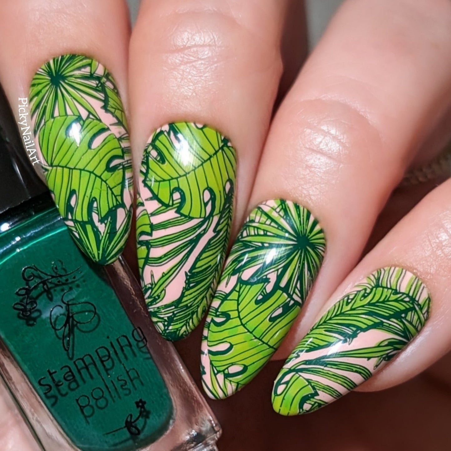 Into the Wild (CjS-343) Steel Nail Art Layered Stamping Plate