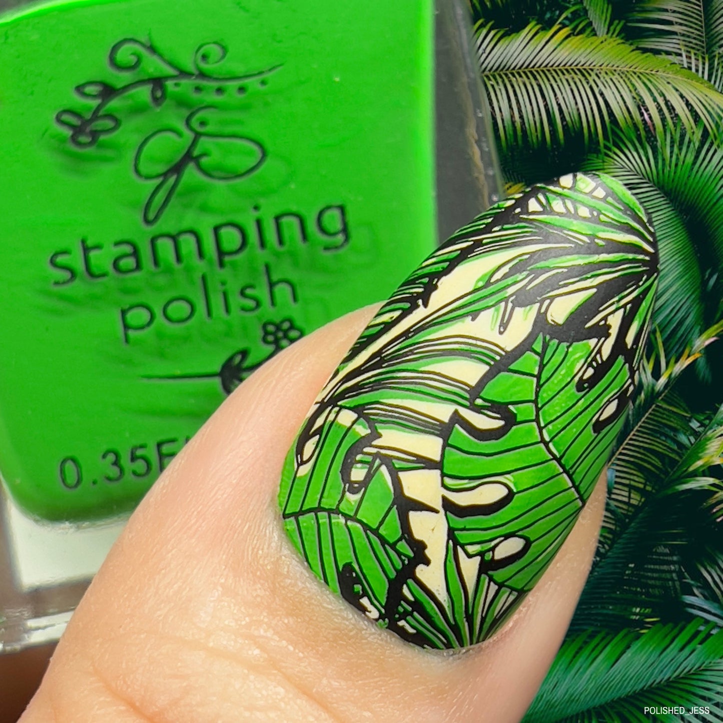 Into the Wild (CjS-343) Steel Nail Art Layered Stamping Plate