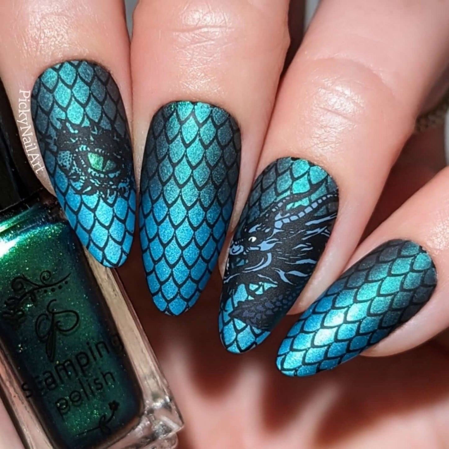 Dragon Love (CjS-347) Steel Nail Art Layered Stamping Plate