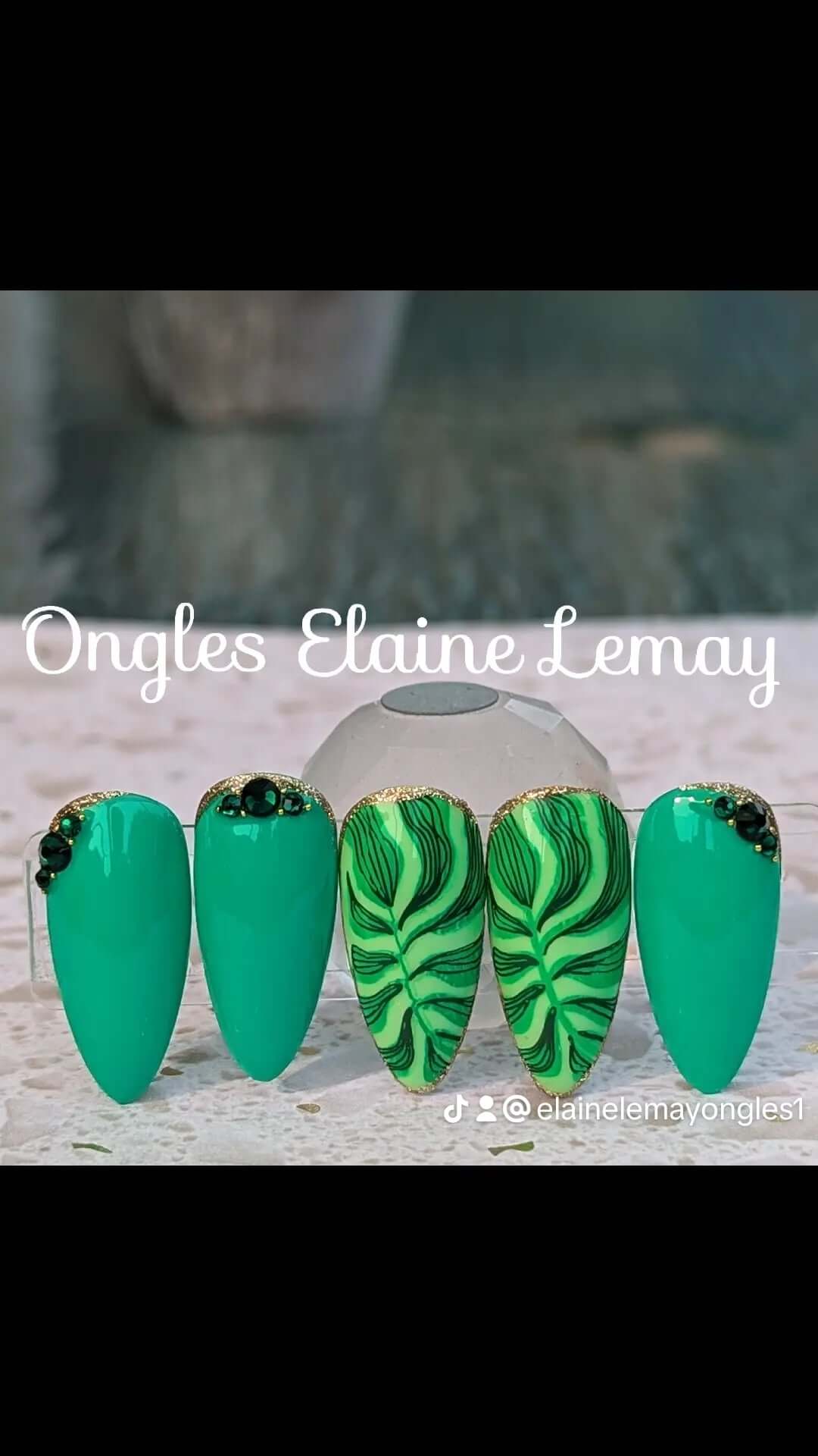 Lush Leaves (CjS-357) Steel Nail Art Layered Stamping Plate