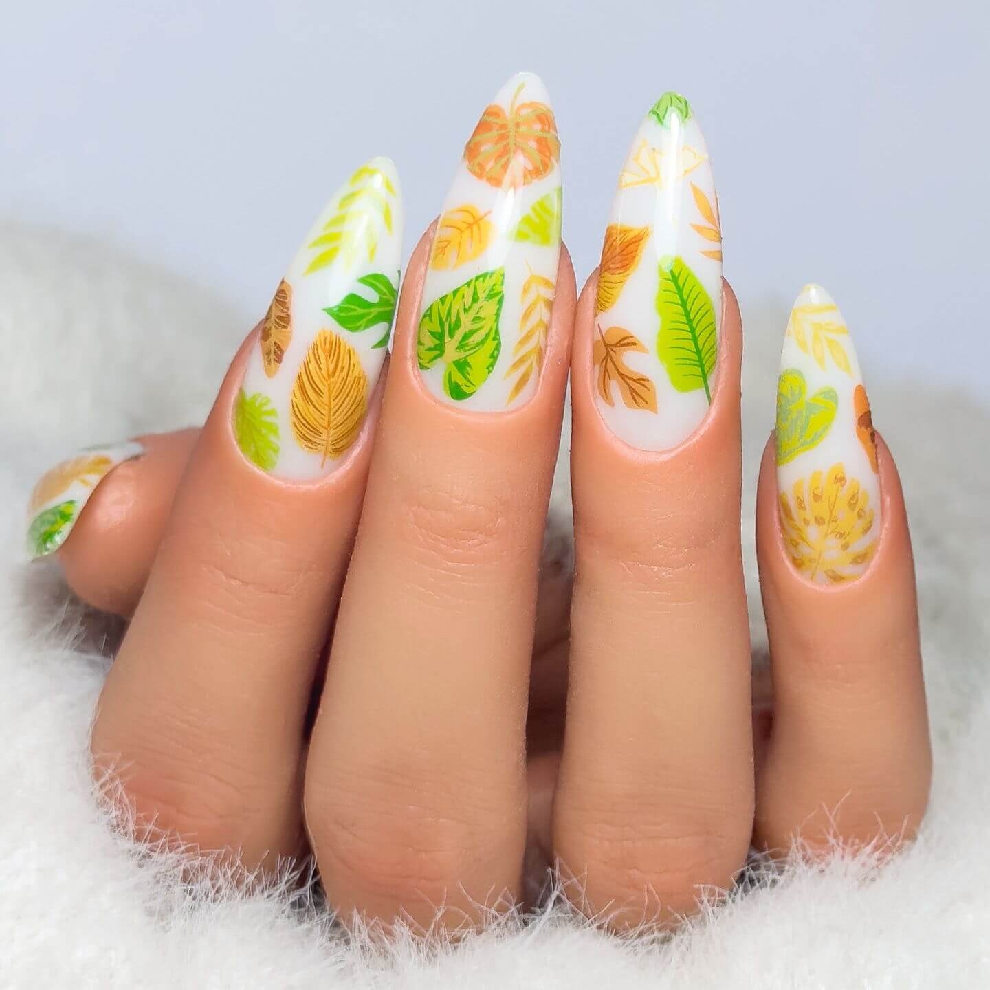 Tropical Leaves (CjS-358) Steel Nail Art Layered Stamping Plate