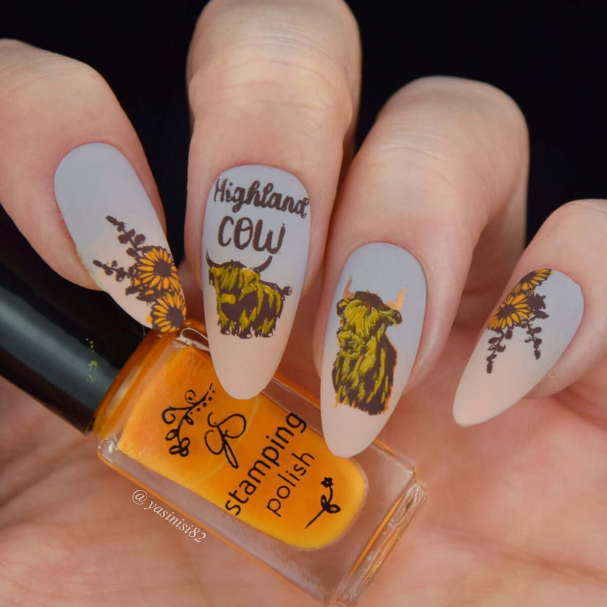 Highland Cow (CjS-362) Steel Nail Art Layered Stamping Plate