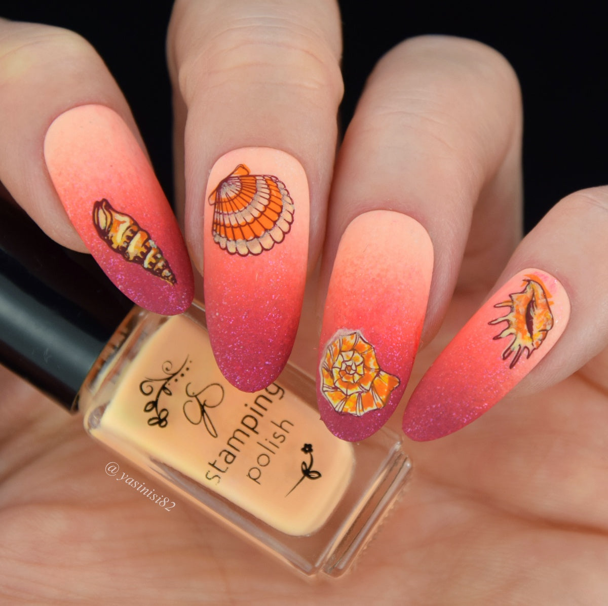 She Sells Seashells (CjS-368) Steel Nail Art Layered Stamping Plate