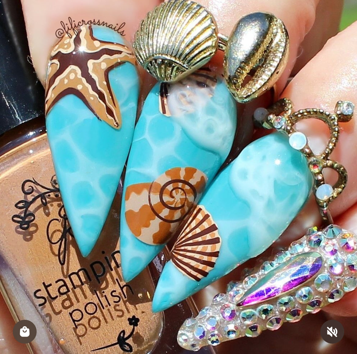 She Sells Seashells (CjS-368) Steel Nail Art Layered Stamping Plate