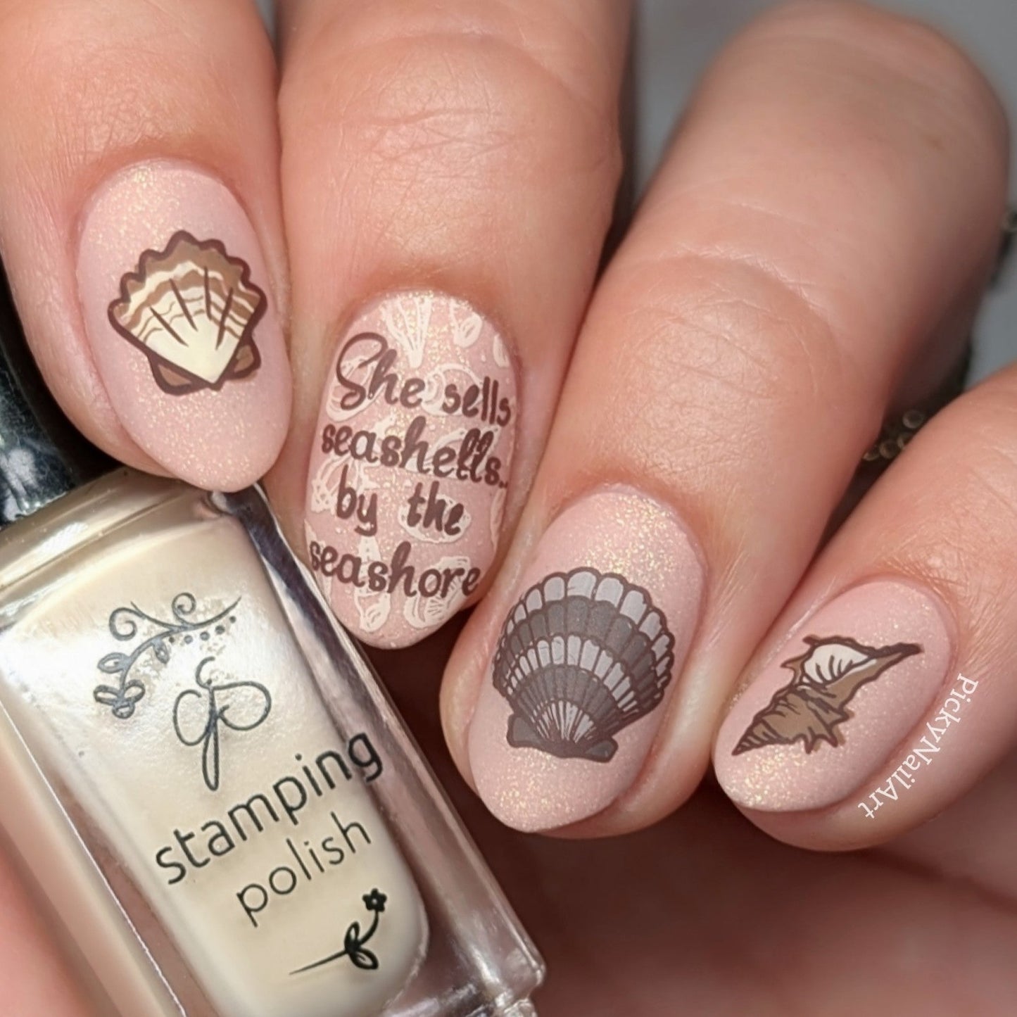She Sells Seashells (CjS-368) Steel Nail Art Layered Stamping Plate