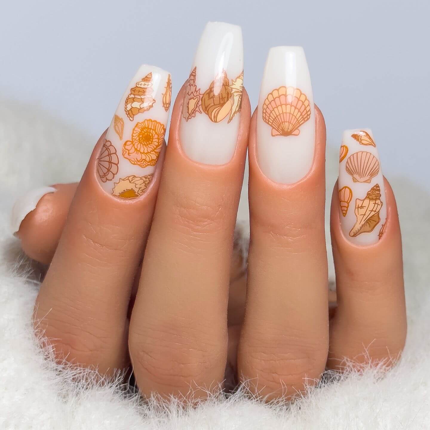 She Sells Seashells (CjS-368) Steel Nail Art Layered Stamping Plate
