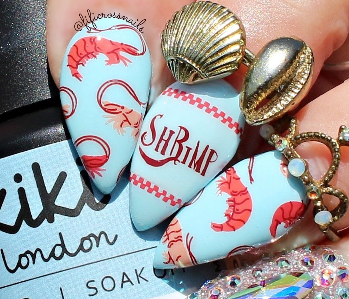 Catch Me by the Sea (CjS-380) Steel Nail Art Layered Stamping Plate