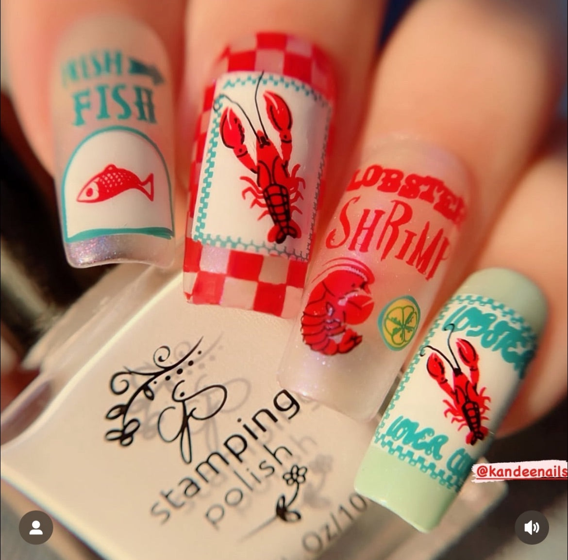 Catch Me by the Sea (CjS-380) Steel Nail Art Layered Stamping Plate