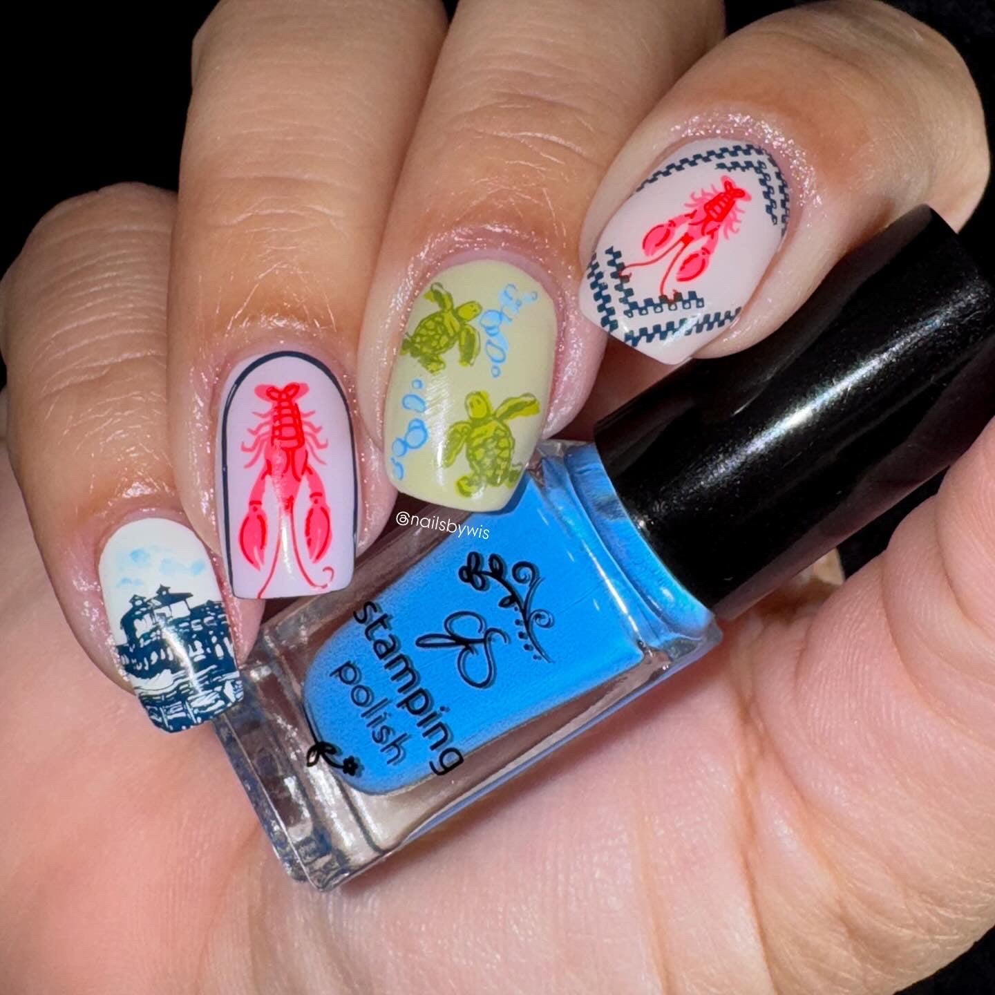 Catch Me by the Sea (CjS-380) Steel Nail Art Layered Stamping Plate