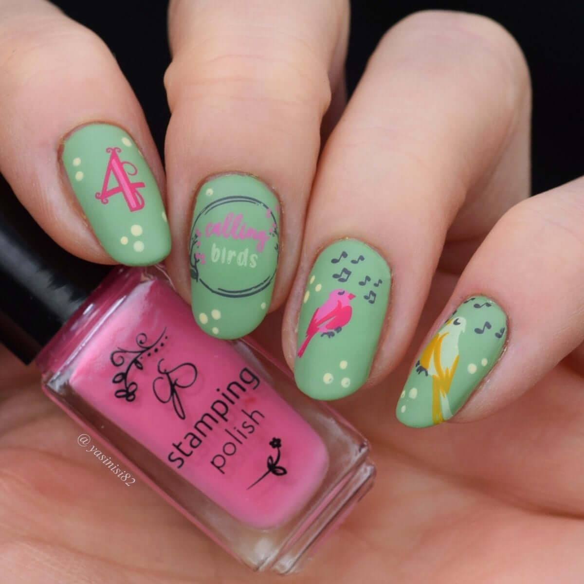 Two Turtle Doves (CjSC-87) Steel Nail Art Layered Stamping Plate