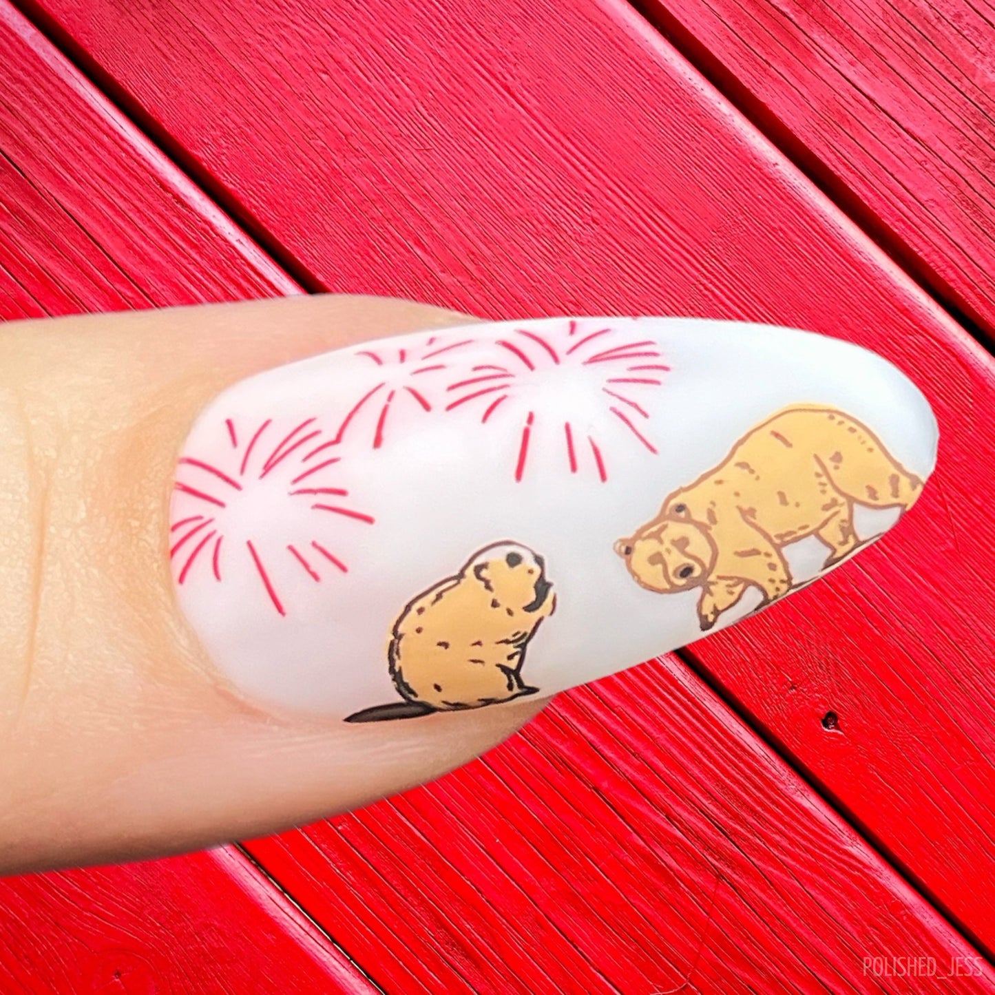 Happy Canada Day! (CjSH-113) Steel Nail Art Layered Stamping Plate